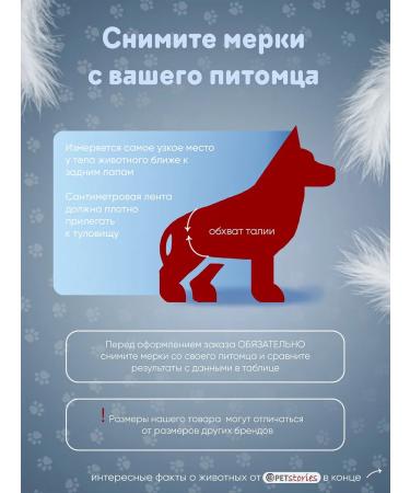 PETstories Denim disposable absorbent male belts s - Buy Online on GoSupps.com