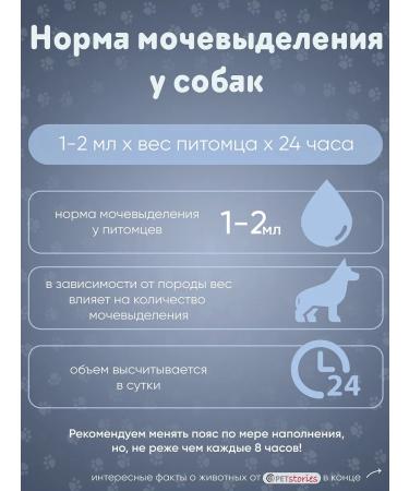 PETstories Denim disposable absorbent male belts s - Buy Online on GoSupps.com