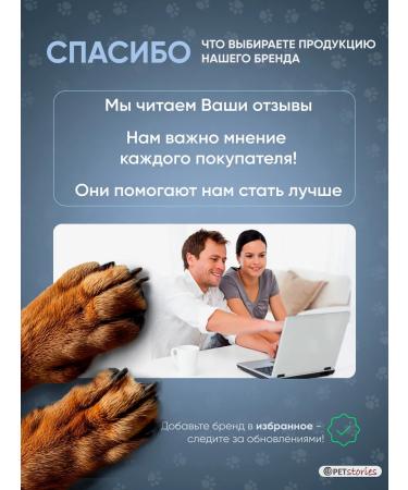 PETstories Denim disposable absorbent male belts s - Buy Online on GoSupps.com