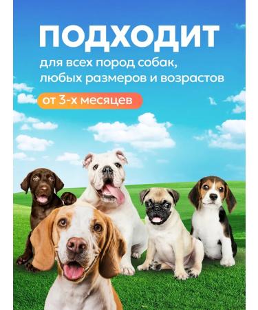 Trachea of beef goodies for dogs 100 grams - Buy Online on GoSupps.com