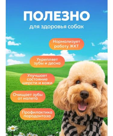 Trachea of beef goodies for dogs 100 grams - Buy Online on GoSupps.com