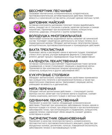 9-ka choleret vitauct choleretic agent with immortelle - Buy Online on GoSupps.com