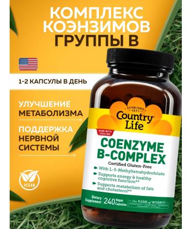 Country Life Coenzyme B-Complex Complex Coenzim B 240 pieces