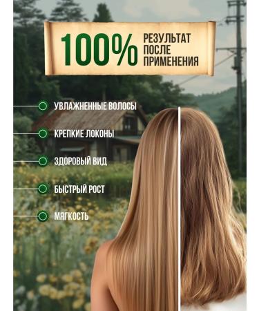 Grandma Agafia's Recipes Hair shampoo 2pcs 2pcs*350ml - Buy Online on GoSupps.com