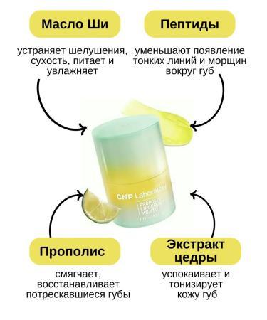 CNP Laboratory Korean lip balm glossy with propolis - Buy Online on GoSupps.com