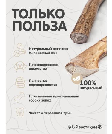 For your pets With a tail Deer antlers - Buy Online on GoSupps.com