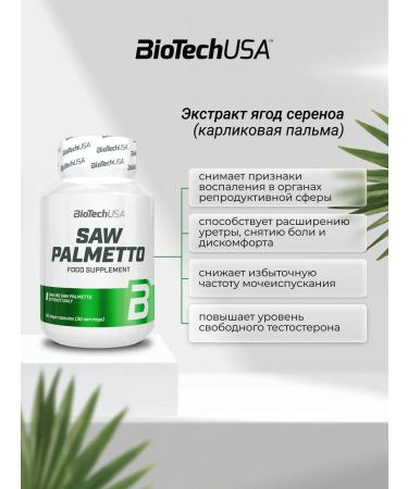 BioTechUSA Extract of ginseng for immunity for brain work 60 caps - Buy Online on GoSupps.com