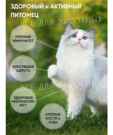 Vit-Active Vitamins for cats biotin for omega 3 from molting - Buy Online on GoSupps.com