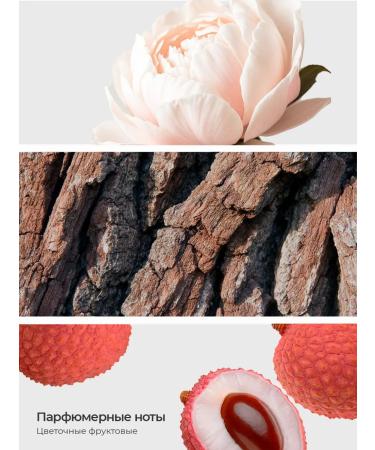 Runail Hand for the hands and body with urea (musk Pion Lichi) - Buy Online on GoSupps.com