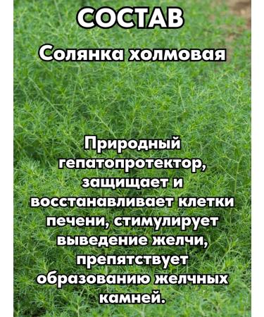 ALTAI NECTAR Restoring the liver complex - Buy Online on GoSupps.com