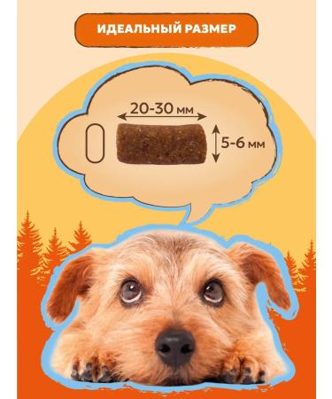 Pet's Brunch Apettito dog treats "Classic" - Buy Online on GoSupps.com