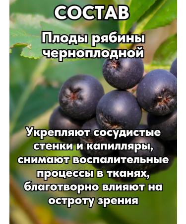 ALTAI NECTAR Phytocomplex with lutein for the eyes and vision - Buy Online on GoSupps.com