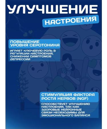 DobromilFit Ezhovik crested Lion's Mane Miceel Ground 450 gr. - Buy Online on GoSupps.com