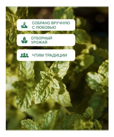 ETalov Black tea with a frame in bags of 25 pcs Kejo Tea - Buy Online on GoSupps.com