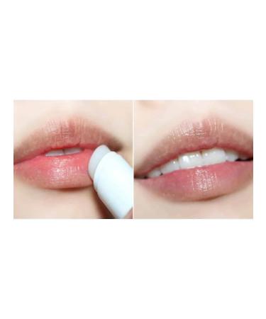 Bioderma ATODERM BIOMERMA Moisturizing Lip Stick 4g - Buy Online on GoSupps.com