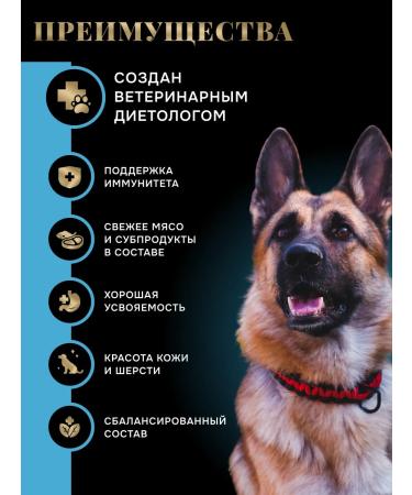 Dry vegas food for dogs of large and medium rocks 10 kg - Buy Online on GoSupps.com