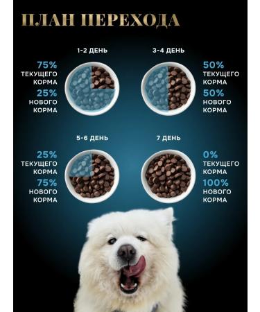 Dry vegas food for dogs of large and medium rocks 10 kg - Buy Online on GoSupps.com