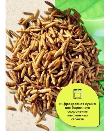 GRIZGO Dog Immunodobeks 80 grams - Buy Online on GoSupps.com