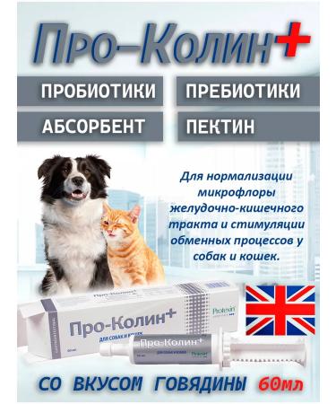 Protein Prokolin plus a probiotic for cats and dogs 60 ml