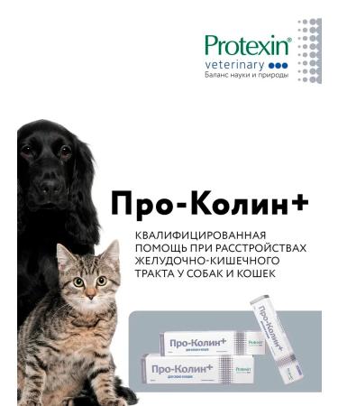 Protein Prokolin plus a probiotic for cats and dogs 60 ml - Buy Online on GoSupps.com