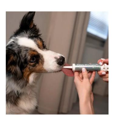 Protein Prokolin plus a probiotic for cats and dogs 60 ml - Buy Online on GoSupps.com