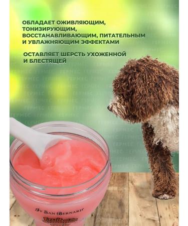 iv san bernard Yves Saint Bernard Shampoo and a mask for dogs and cats grapefruit - Buy Online on GoSupps.com