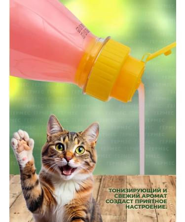 iv san bernard Yves Saint Bernard Shampoo and a mask for dogs and cats grapefruit - Buy Online on GoSupps.com