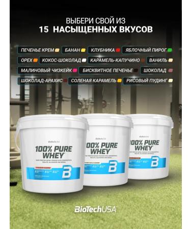 BioTechUSA Wastein protein 100% Pure Whey 4000 Vanil - Buy Online on GoSupps.com
