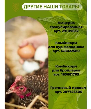 ASSV Kurewroke for chickens 10 kg - Buy Online on GoSupps.com
