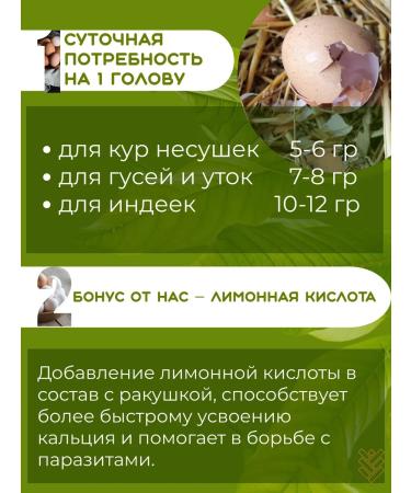 ASSV A shell for chickens 20 kg - Buy Online on GoSupps.com