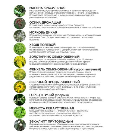 Ugolit Uro-expert agent for kidney vitauct - Buy Online on GoSupps.com