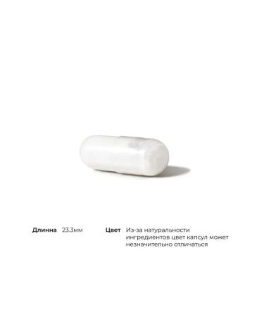 Thorne Research Tyrosine 500 mg l-tyrosine 90 capsules - Buy Online on GoSupps.com