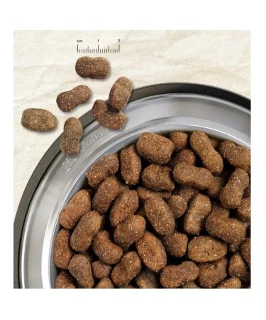 Belcando Dry food for dogs Adult with lamb 4 kg - Buy Online on GoSupps.com