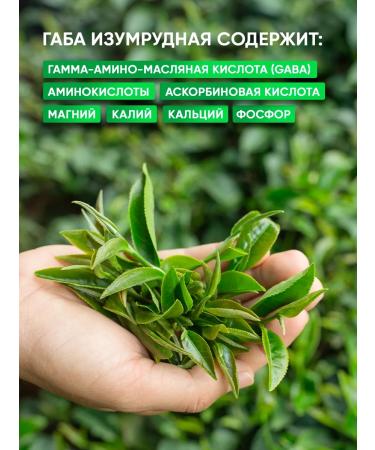 Teaforia Chinese whole -faced tea ammunition - Buy Online on GoSupps.com