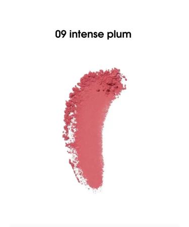 Gucci 09 Intense Plum blush Blush de Beaute - Buy Online on GoSupps.com