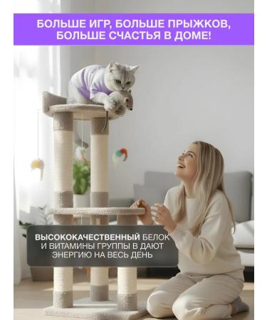 ROXFOX Cat food with veal and lingonberries 1.5 kg - Buy Online on GoSupps.com