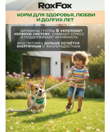 RoxFox Dog food for dogs Assorted 2 kg - Buy Online on GoSupps.com