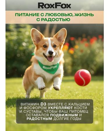 RoxFox Dog food for dogs Assorted 2 kg - Buy Online on GoSupps.com