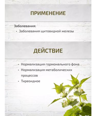 Sage Monastic collection of thyroid gland100 g - Buy Online on GoSupps.com