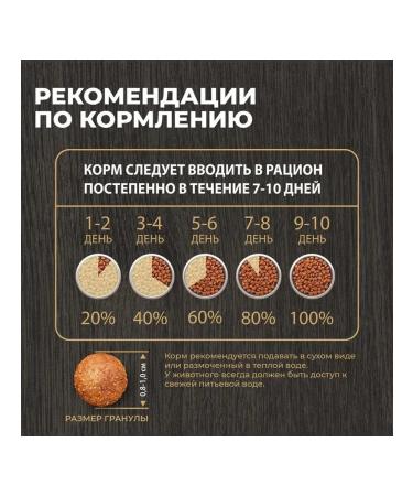 Native feeds Dry feed for dogs of small breeds of a pumpkin turkey 10 kg - Buy Online on GoSupps.com