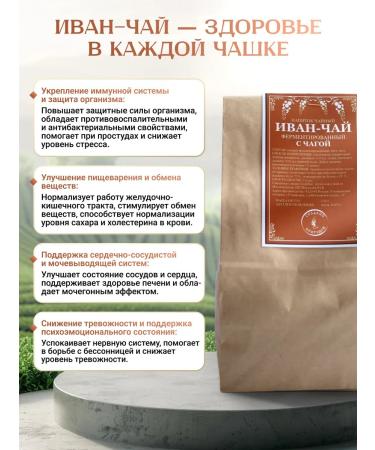 Created by nature Ivan Tea Envalized Big Kolistova with Chaga - Buy Online on GoSupps.com