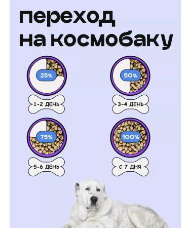 SPACEBAK Dry feed of dried 6 kg with fish for large breeds - Buy Online on GoSupps.com