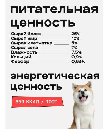 SPACEBAK Dry food for dogs 4kg hypoallergenic with turkey - Buy Online on GoSupps.com