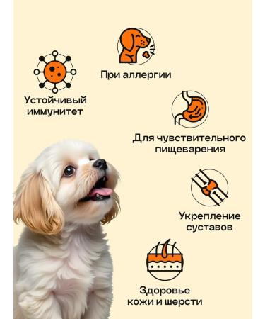 SPACEBAK Dry food of dry 6 kg for small breeds with turkey - Buy Online on GoSupps.com