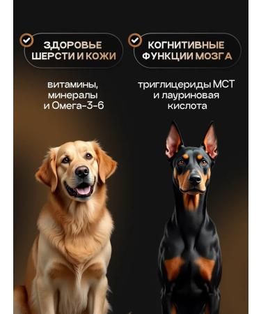 cosmodog Dry food for dogs 12kg with lamb - Buy Online on GoSupps.com