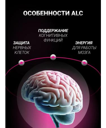 BioTechUSA Acetyl l carnitine Alc 845 mg 60 caps - Buy Online on GoSupps.com