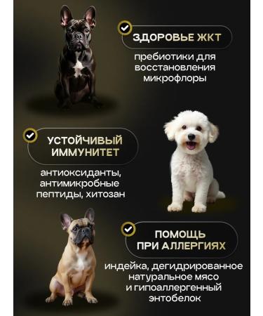 cosmodog Dry feed of dry 4 kg for small breeds with lamb - Buy Online on GoSupps.com