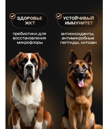 cosmodog Dry food for dogs 12 kg hypoallergenic with turkey - Buy Online on GoSupps.com