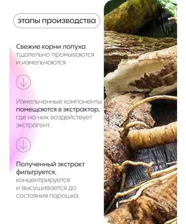 VitoBox Burdock root extract 120 capsules - Buy Online on GoSupps.com