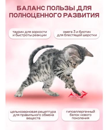 Cosmocat Kittens for kittens dry super premium with a turkey 3.6 kg turkey - Buy Online on GoSupps.com